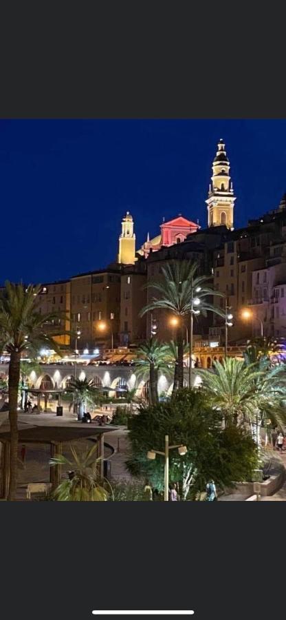 Menton Centre Vue Imprenable Sur Mer Et Jardin Bioves المظهر الخارجي الصورة