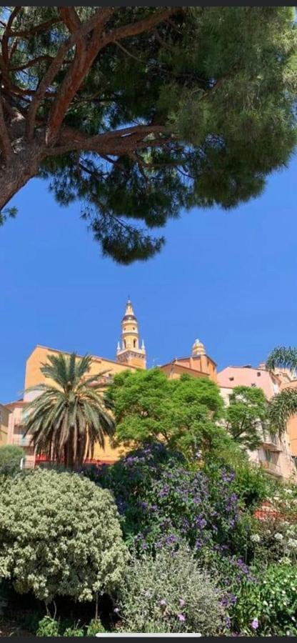 Menton Centre Vue Imprenable Sur Mer Et Jardin Bioves المظهر الخارجي الصورة